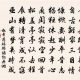 赵希蓬